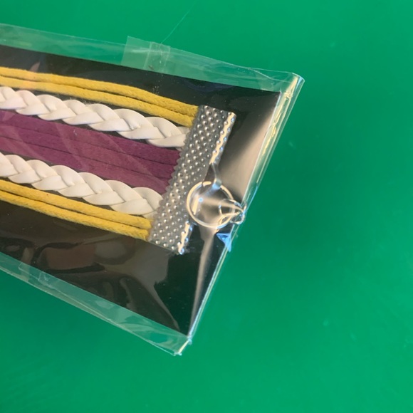 Minnesota Vikings - Picture 5 of 6